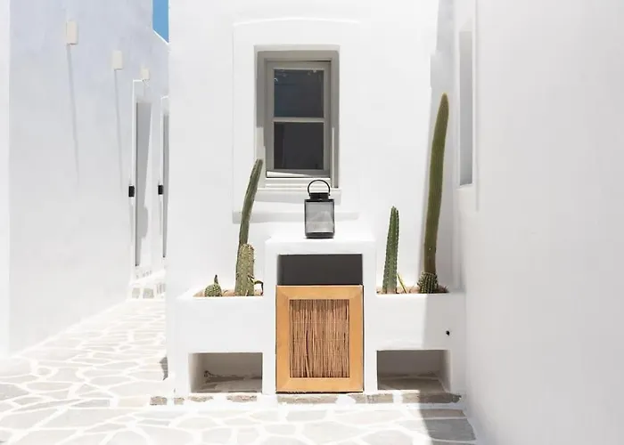 Swell S9 New In Apartment *