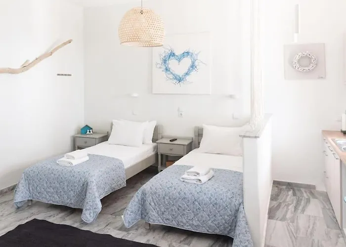 Swell S9 New In Apartment *