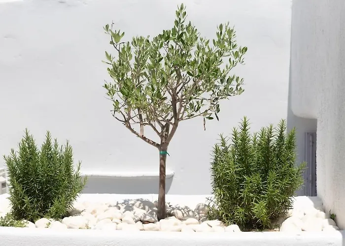 Swell S9 New In Apartment