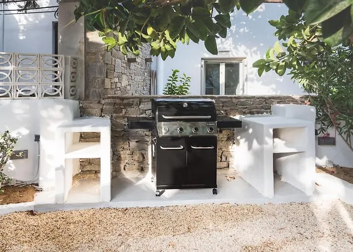 Swell S9 New In Naousa (Paros)